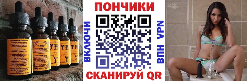 Canna-Cookies марихуана  Электрогорск 