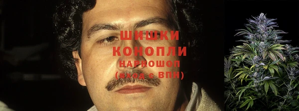 винт Верея