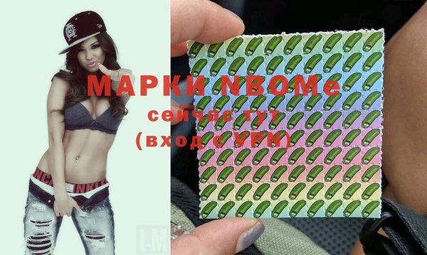 винт Верея