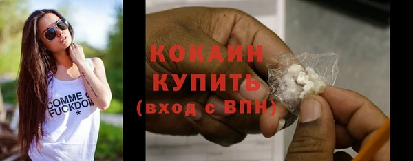 винт Верея