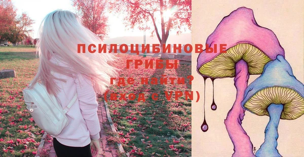 винт Верея
