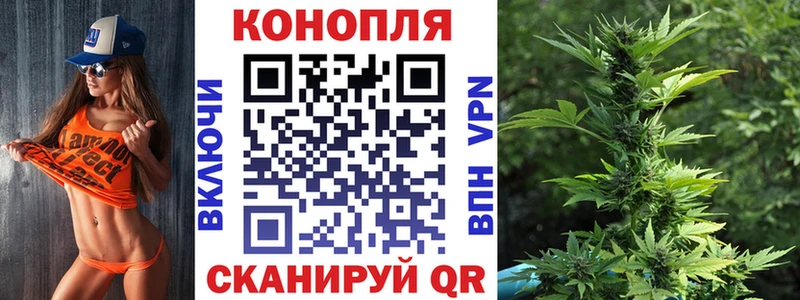 Бошки Шишки индика  Электрогорск 